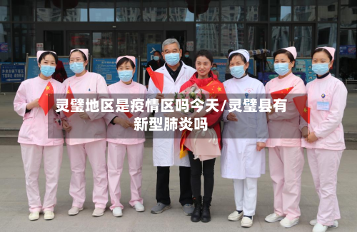 灵璧地区是疫情区吗今天/灵璧县有新型肺炎吗-第3张图片