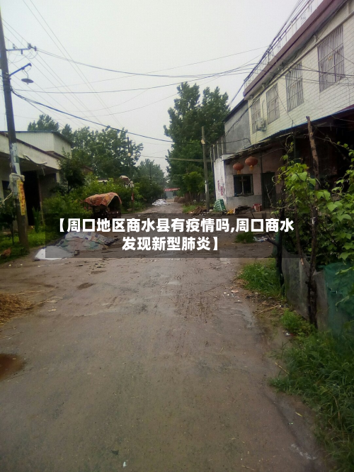 【周口地区商水县有疫情吗,周口商水发现新型肺炎】