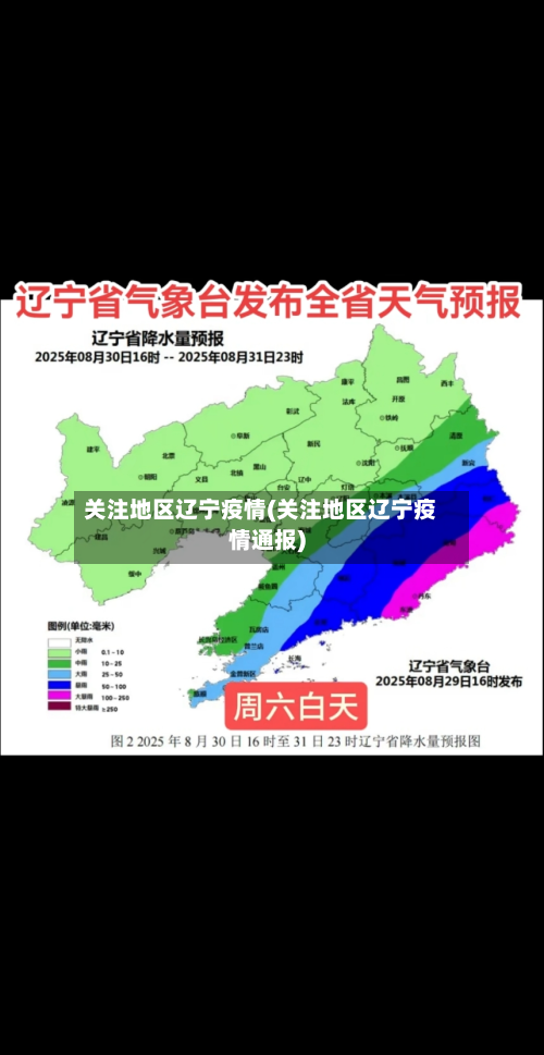 关注地区辽宁疫情(关注地区辽宁疫情通报)-第3张图片