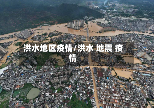 洪水地区疫情/洪水 地震 疫情