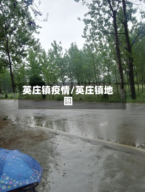 英庄镇疫情/英庄镇地图