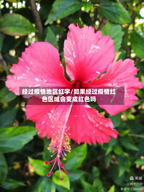 经过疫情地区红字/如果经过疫情红色区域会变成红色吗
