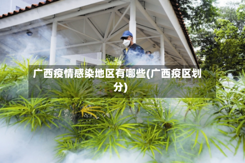 广西疫情感染地区有哪些(广西疫区划分)