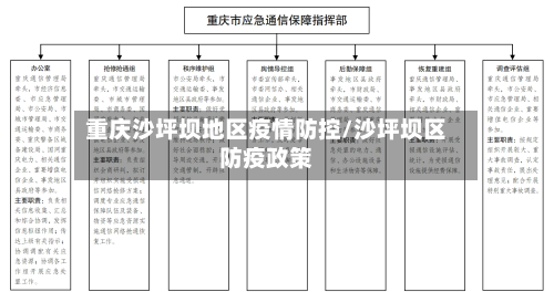 重庆沙坪坝地区疫情防控/沙坪坝区防疫政策