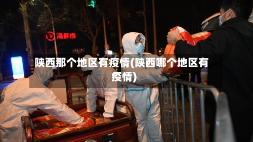 陕西那个地区有疫情(陕西哪个地区有疫情)-第2张图片