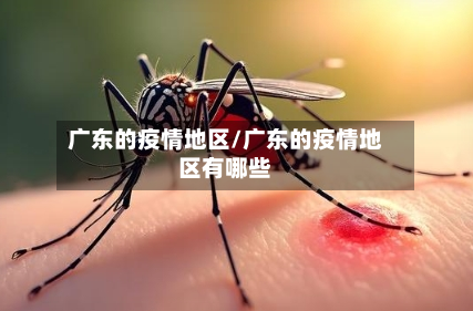 广东的疫情地区/广东的疫情地区有哪些-第2张图片