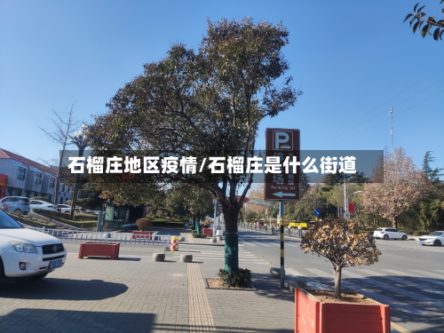 石榴庄地区疫情/石榴庄是什么街道