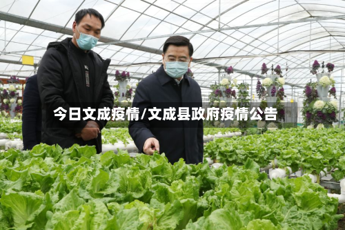 今日文成疫情/文成县政府疫情公告