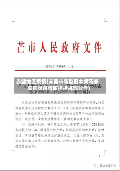 赤壁地区疫情(赤壁市新型冠状病毒感染肺炎疫情防控指挥部公告)-第2张图片
