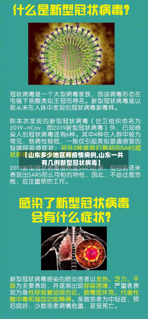 【山东多少地区有疫情病例,山东一共有几例新型冠状病毒】-第3张图片