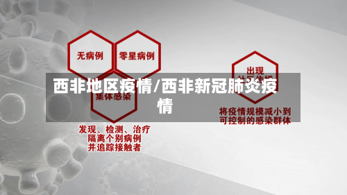 西非地区疫情/西非新冠肺炎疫情-第2张图片