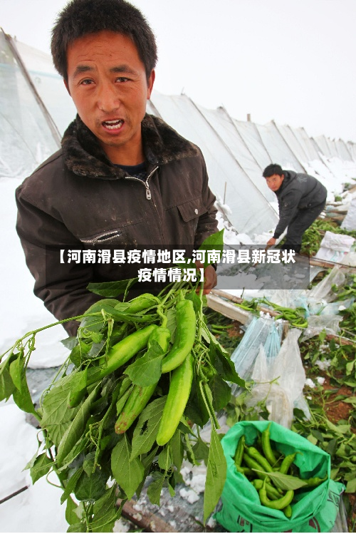 【河南滑县疫情地区,河南滑县新冠状疫情情况】