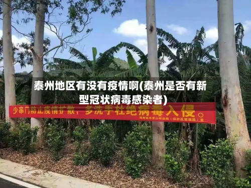 泰州地区有没有疫情啊(泰州是否有新型冠状病毒感染者)-第3张图片