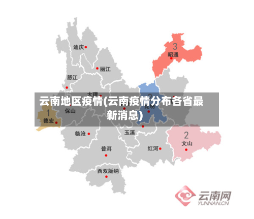 云南地区疫情(云南疫情分布各省最新消息)-第3张图片