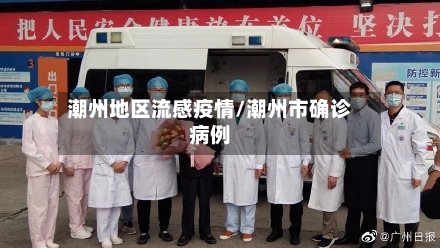 潮州地区流感疫情/潮州市确诊病例-第2张图片