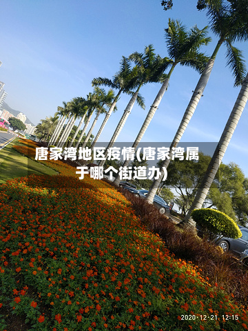 唐家湾地区疫情(唐家湾属于哪个街道办)