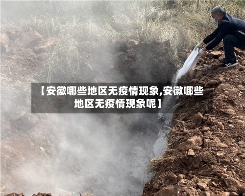 【安徽哪些地区无疫情现象,安徽哪些地区无疫情现象呢】-第2张图片
